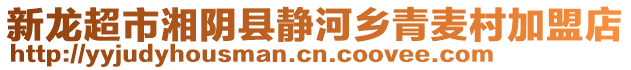 新龍超市湘陰縣靜河鄉(xiāng)青麥村加盟店