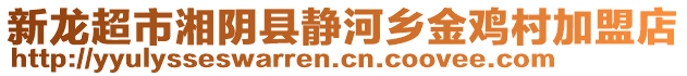 新龙超市湘阴县静河乡金鸡村加盟店