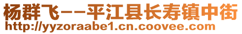 楊群飛--平江縣長壽鎮(zhèn)中街