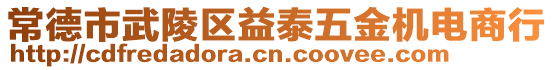 常德市武陵區(qū)益泰五金機(jī)電商行