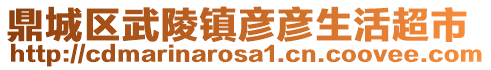 鼎城區(qū)武陵鎮(zhèn)彥彥生活超市