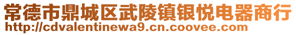 常德市鼎城區(qū)武陵鎮(zhèn)銀悅電器商行