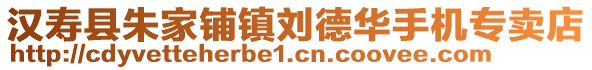 漢壽縣朱家鋪鎮(zhèn)劉德華手機專賣店