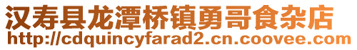 漢壽縣龍?zhí)稑蜴?zhèn)勇哥食雜店