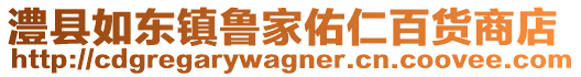 澧縣如東鎮魯家佑仁百貨商店