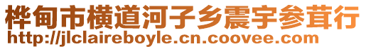 桦甸市横道河子乡震宇参茸行