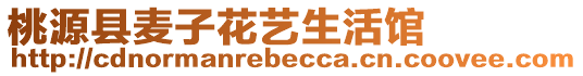桃源縣麥子花藝生活館