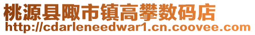 桃源縣陬市鎮高攀數碼店