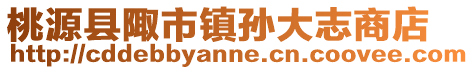 桃源縣陬市鎮(zhèn)孫大志商店