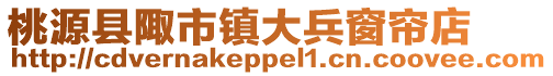 桃源縣陬市鎮大兵窗簾店