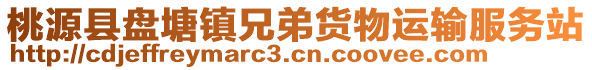 桃源縣盤塘鎮(zhèn)兄弟貨物運(yùn)輸服務(wù)站