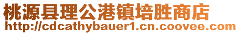 桃源縣理公港鎮(zhèn)培勝商店