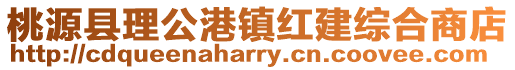 桃源縣理公港鎮紅建綜合商店