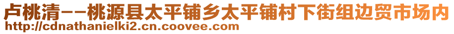 盧桃清--桃源縣太平鋪鄉(xiāng)太平鋪村下街組邊貿(mào)市場內(nèi)