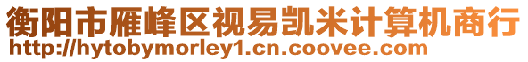 衡陽市雁峰區(qū)視易凱米計算機商行