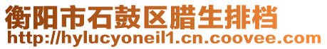 衡陽市石鼓區(qū)臘生排檔