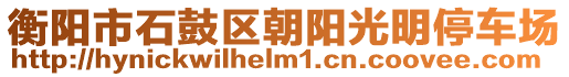 衡陽市石鼓區(qū)朝陽光明停車場