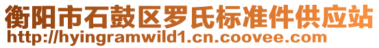 衡陽市石鼓區(qū)羅氏標(biāo)準(zhǔn)件供應(yīng)站