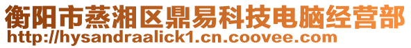 衡陽市蒸湘區(qū)鼎易科技電腦經(jīng)營部