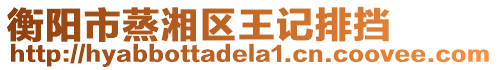 衡陽市蒸湘區王記排擋