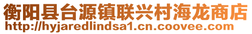 衡阳县台源镇联兴村海龙商店