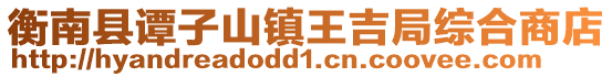 衡南县谭子山镇王吉局综合商店