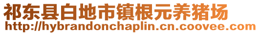 祁東縣白地市鎮(zhèn)根元養(yǎng)豬場(chǎng)