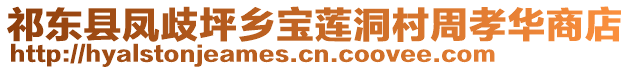 祁东县凤歧坪乡宝莲洞村周孝华商店