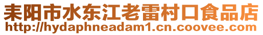 耒陽(yáng)市水東江老雷村口食品店