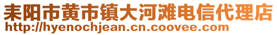 耒陽市黃市鎮(zhèn)大河灘電信代理店