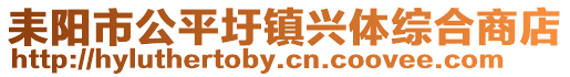 耒陽(yáng)市公平圩鎮(zhèn)興體綜合商店