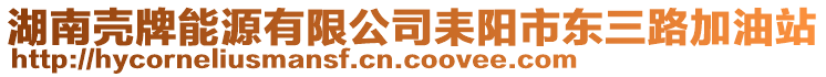 湖南殼牌能源有限公司耒陽市東三路加油站