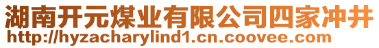 湖南開元煤業(yè)有限公司四家沖井