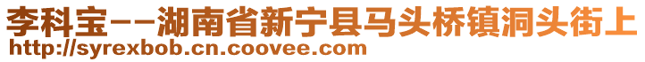 李科寶--湖南省新寧縣馬頭橋鎮(zhèn)洞頭街上