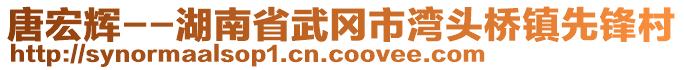 唐宏輝--湖南省武岡市灣頭橋鎮(zhèn)先鋒村