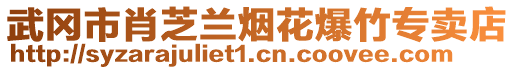 武岡市肖芝蘭煙花爆竹專賣店