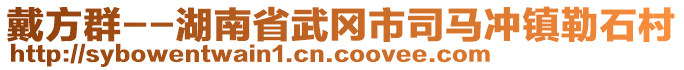 戴方群--湖南省武岡市司馬沖鎮(zhèn)勒石村