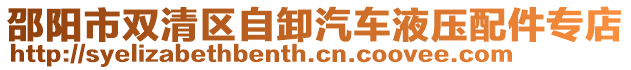 邵陽市雙清區(qū)自卸汽車液壓配件專店