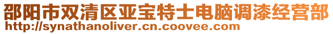 邵陽市雙清區(qū)亞寶特士電腦調(diào)漆經(jīng)營部