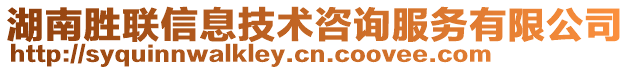 湖南勝聯信息技術咨詢服務有限公司