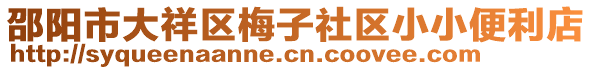 邵陽(yáng)市大祥區(qū)梅子社區(qū)小小便利店