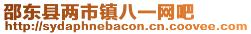 邵東縣兩市鎮八一網吧