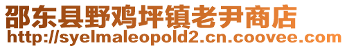 邵東縣野雞坪鎮(zhèn)老尹商店
