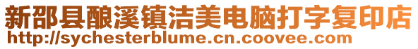 新邵縣釀溪鎮潔美電腦打字復印店
