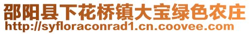 邵陽縣下花橋鎮(zhèn)大寶綠色農(nóng)莊