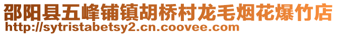 邵陽縣五峰鋪鎮(zhèn)胡橋村龍毛煙花爆竹店