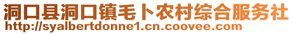 洞口縣洞口鎮(zhèn)毛卜農(nóng)村綜合服務(wù)社