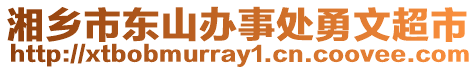 湘鄉(xiāng)市東山辦事處勇文超市