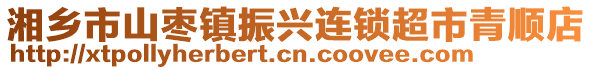 湘鄉(xiāng)市山棗鎮(zhèn)振興連鎖超市青順店