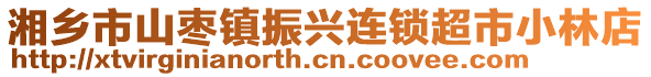 湘鄉(xiāng)市山棗鎮(zhèn)振興連鎖超市小林店